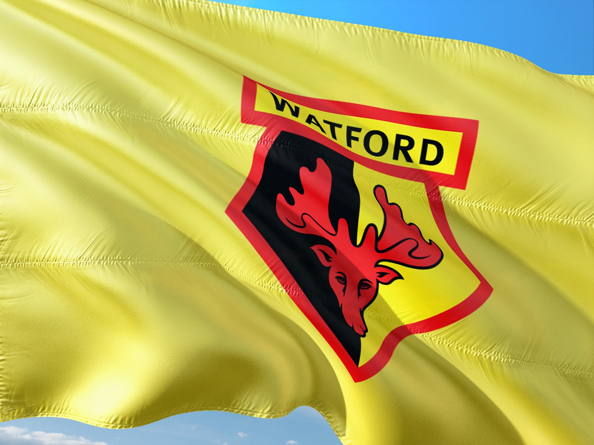 Watford Fotboll